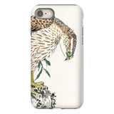 Osprey - Numata Kashu Meiji Bird Iphone Case, 8 / Matte, Phone Case Artistic Illustration Hawk Eagle Head Bent
