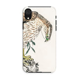 Osprey - Numata Kashu Meiji Bird Iphone Case, Xr / Matte, Phone Case Artistic Illustration Hawk Eagle Head Bent
