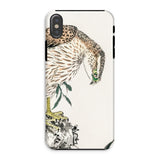 Osprey - Numata Kashu Meiji Bird Iphone Case, Xs / Matte, Bird Prey Speckled Feathers Perched Rock Head Bent