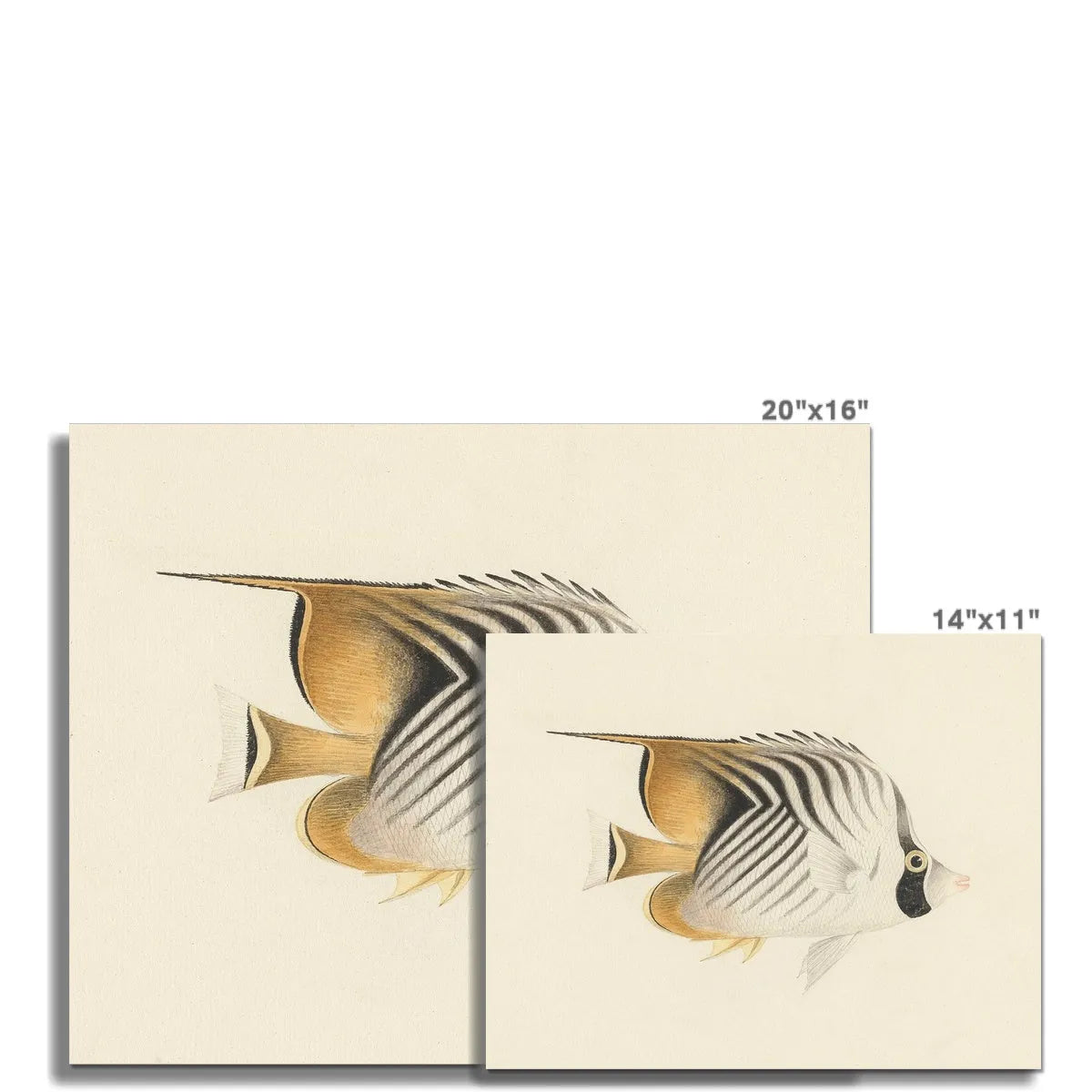The Other Fish By Luigi Balugani Fine Art Print - Posters Prints & Visual Artwork - Aesthetic Art