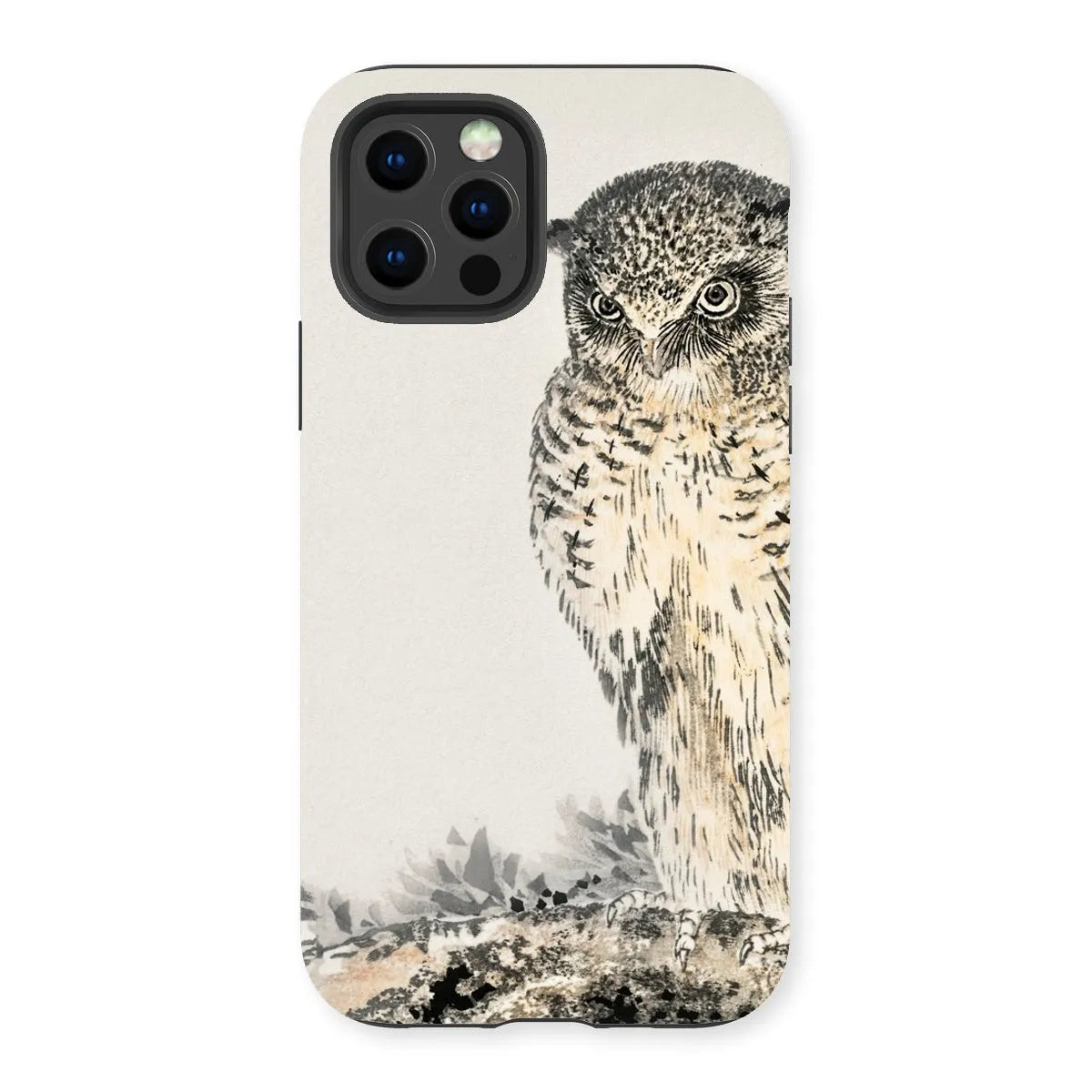 Owl And Fir Tree - Kachō-e Bird Phone Case - Numata Kashu - Iphone 13 Pro / Matte - Mobile Phone Cases - Aesthetic Art