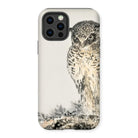Owl and Fir Tree - Numata Kashu Kachō-e Iphone Case, 12 Pro / Matte, Phone Case Illustration Owl Eyes