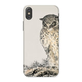 Owl and Fir Tree - Numata Kashu Kachō-e Iphone Case, x / Matte, Owl-themed Phone Case Detailed Illustration Owl Perched Branch