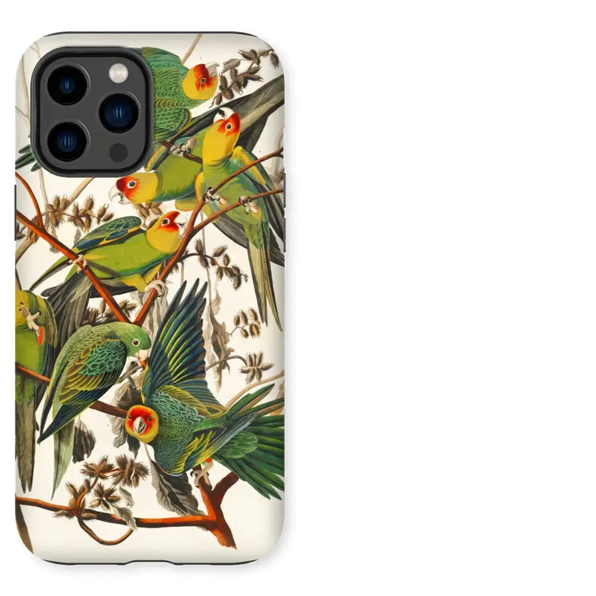 Parrot-themed bird art iPhone case inspired by Toby Leon and Taguchi Tomoki design