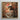 Framed Artwork Man White Cowboy Hat Light-colored Jacket Femme Gay, Dandy Afroamerican Outlaw’s, Spirit’s Queer