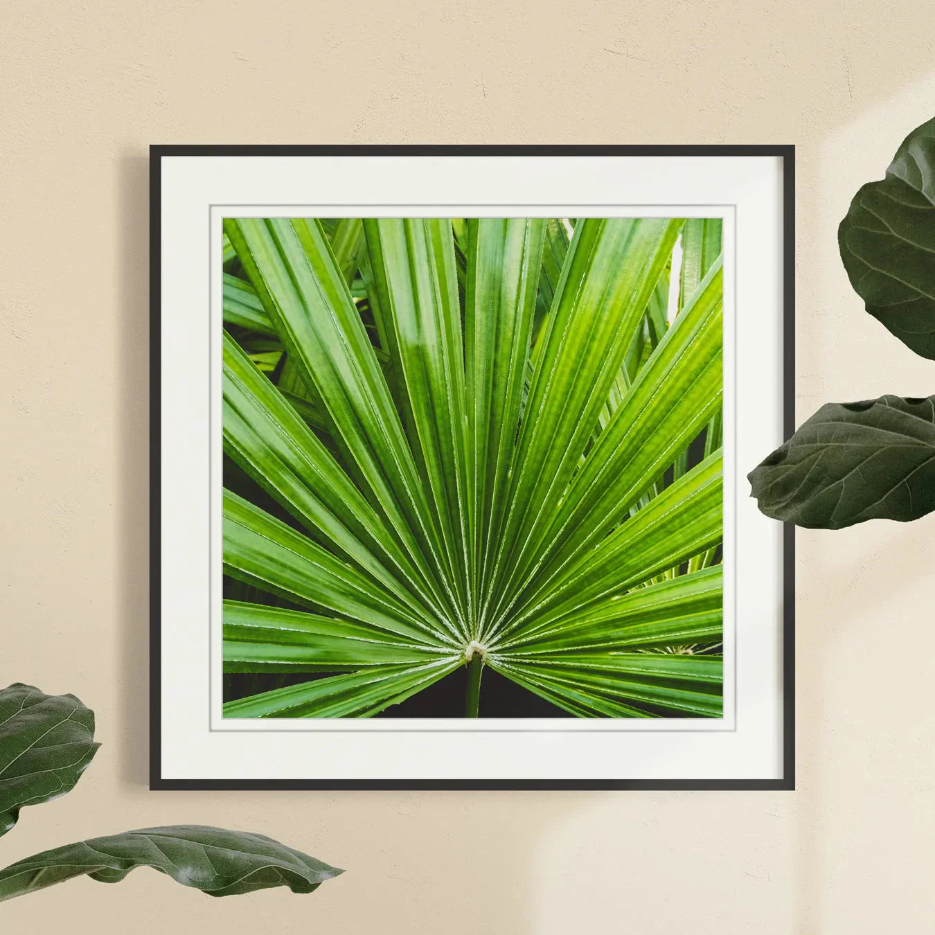 Peacocky Framed & Mounted Print - Posters Prints & Visual Artwork - Aesthetic Art