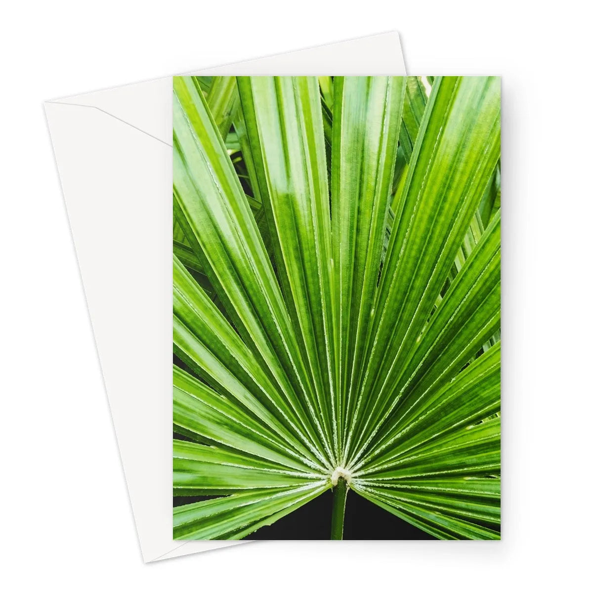Peacocky Greeting Card - A5 Portrait / 1 Card - Greeting & Note Cards - Aesthetic Art