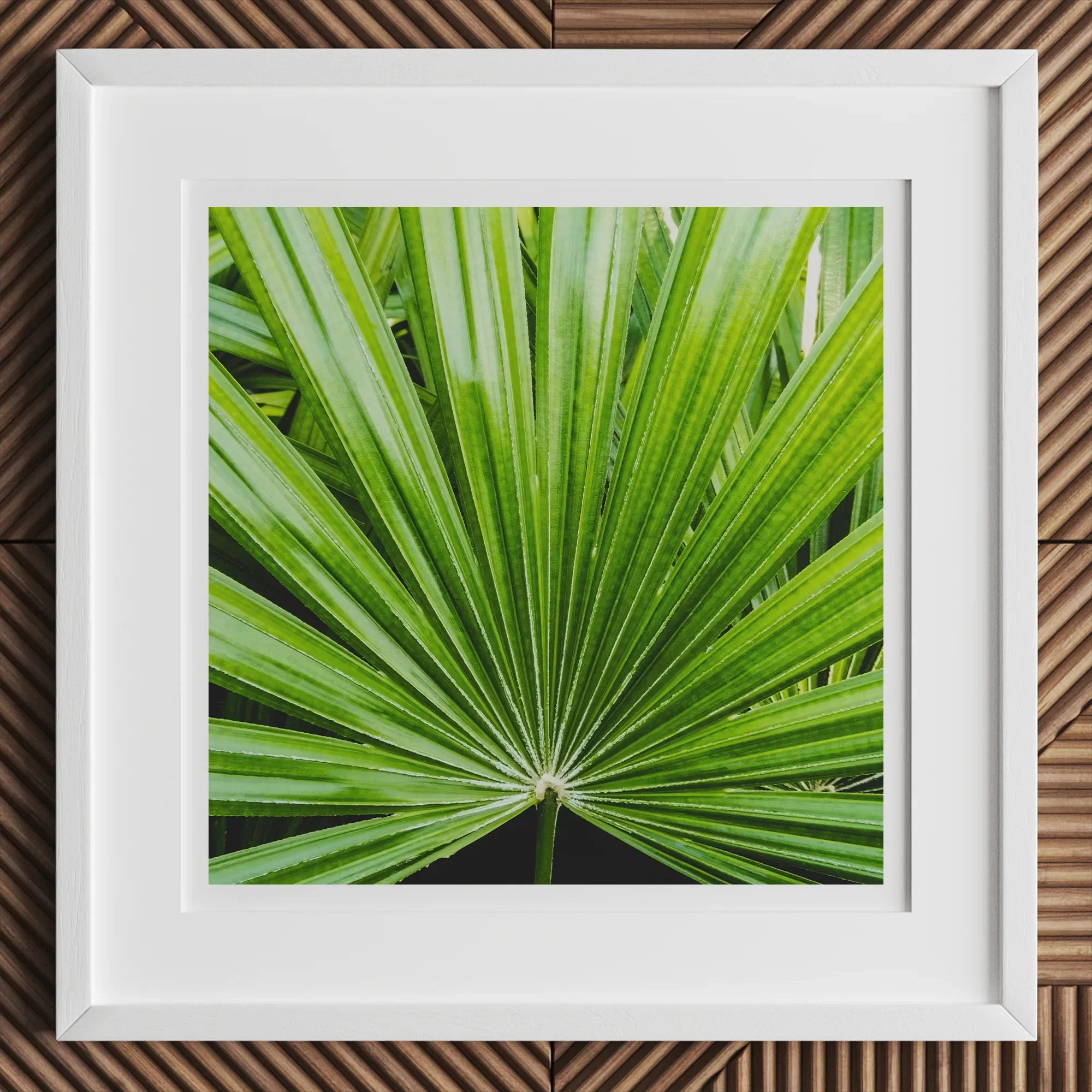 Peacocky - Koh Chang Palm Frond Art Print, 12x12’’ / 31x31cm / White Frame, Framed Print Vibrant Green Palm Leaf