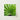 Square-framed Print Vibrant Green Palm Leaf Slender Fronds Thailand’s Emerald Oasis, Koh Chang, Frond Photography