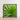Framed Photograph Vibrant Green Palm Leaf Fronds Encased Thailand’s Emerald Oasis, Koh Chang, Frond Photography