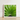 Framed Photograph Vibrant Green Palm Leaf Fronds Encased Thailand’s Emerald Oasis, Koh Chang, Frond Photography