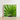 Framed Photograph Vibrant Green Palm Leaf Fronds Encased Thailand’s Emerald Oasis, Koh Chang, Frond Photography