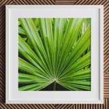 Peacocky - Koh Chang Palm Frond Art Print / Canvas Framed Photograph Vibrant Green Palm Frond Leaf Segments Thailand’s Emerald Oasis, Koh