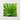 Vibrant Green Palm Leaf Printed Square Canvas Thailand’s Emerald Oasis, Koh Chang, Frond Photography