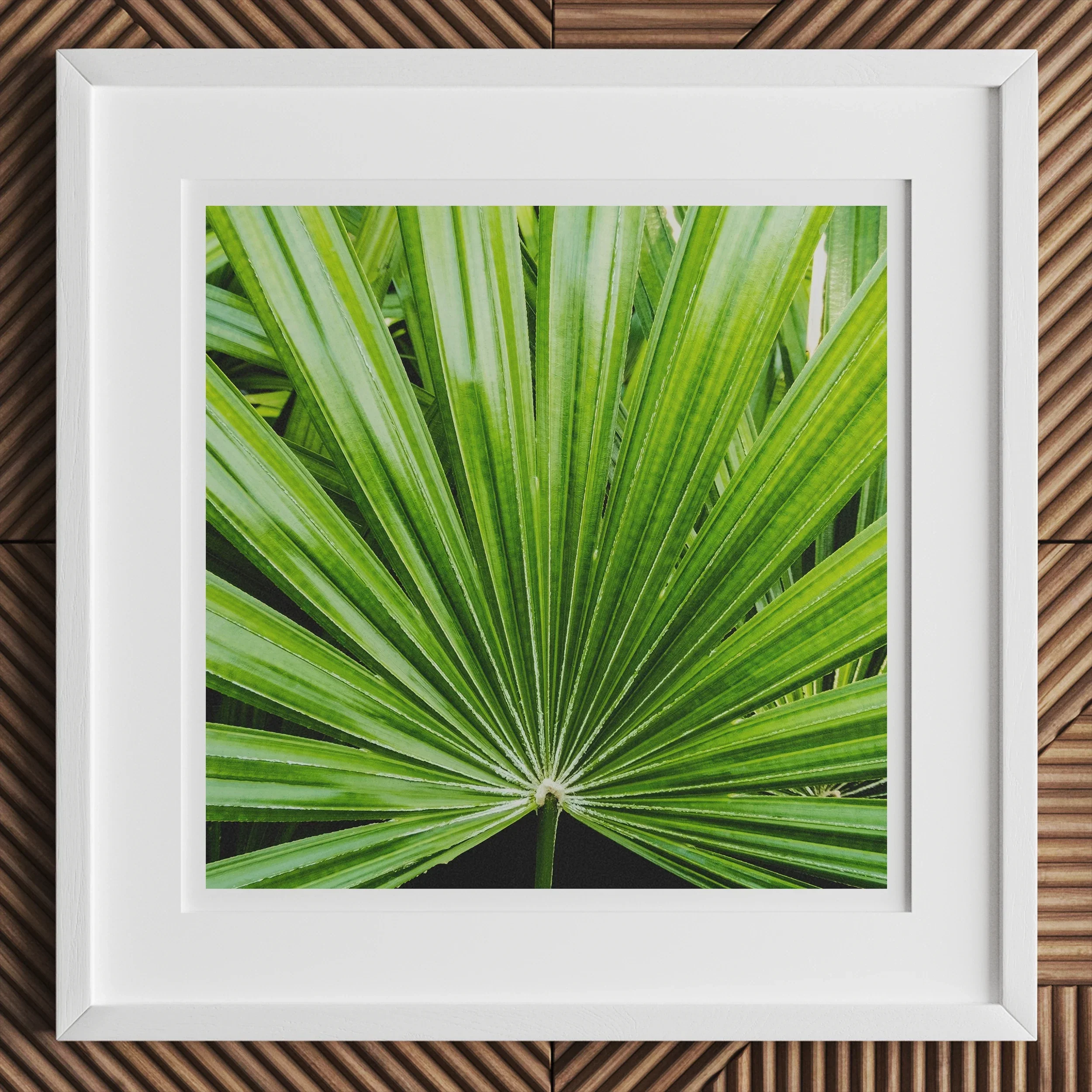 Peacocky - Koh Chang Palm Frond Art Print, Framed Photograph Vibrant Green Palm Leaf Fronds