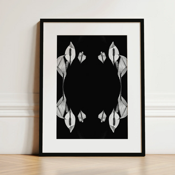 Pearly Whites - Koh Chang Peace Lilies Art Print / Canvas, 12x16’’ / 31x41cm / Black Frame / Matboard, Posters Prints & Visual Artwork,