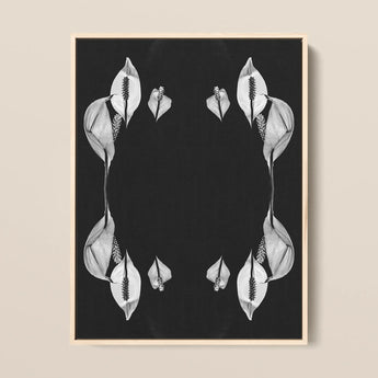Pearly Whites - Koh Chang Peace Lilies Art Print / Canvas, 12x16’’ / 31x41cm / Natural Frame, Posters Prints & Visual Artwork, Toby Leon