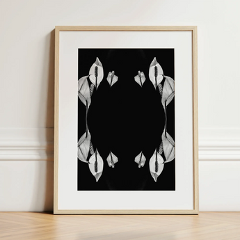 Pearly Whites - Koh Chang Peace Lilies Art Print / Canvas, 12x16’’ / 31x41cm / Natural Frame / Matboard, Posters Prints & Visual Artwork,