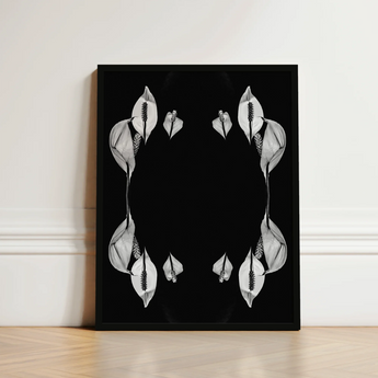 Black-framed Black-and-white Art Print Symmetrical White Calla Lilies Koh Chang Rorschach, Peace Metamorphose, Monochromatic Phantasmagoria