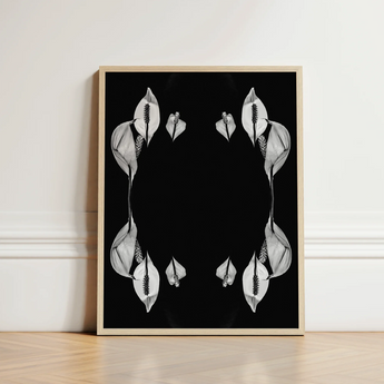 Black-and-white Framed Art Symmetrical White Calla Lilies Arranged Koh Chang Rorschach, Peace Metamorphose, Monochromatic Phantasmagoria