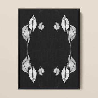 Pearly Whites - Koh Chang Peace Lilies Art Print / Canvas Black-framed Artwork Symmetrical Monochrome White Calla Lilies Arranged Koh Chang