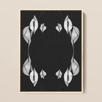 Pearly Whites - Koh Chang Peace Lilies Art Print / Canvas Black-and-white Botanical Art Print Symmetrical Arrangements Peace Lily Koh Chang