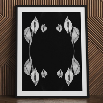 Pearly Whites - Koh Chang Peace Lilies Art Print / Canvas Black-and-white Framed Art Symmetrical Arrangements Peace Lily Flowers Koh Chang