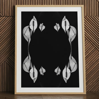 Pearly Whites - Koh Chang Peace Lilies Art Print / Canvas Black-and-white Framed Art Symmetrical White Peace Lily Blooms Koh Chang