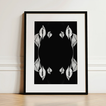 Pearly Whites - Koh Chang Peace Lilies Art Print / Canvas Black-and-white Framed Art Symmetrical White Peace Lily Blooms Koh Chang
