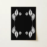 Pearly Whites - Koh Chang Peace Lilies Art Print / Canvas Black White Photographic Print Symmetrical Arrangements Peace Lily Koh Chang