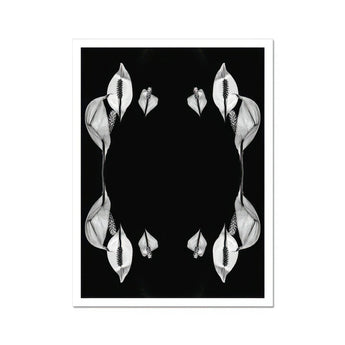 Pearly Whites - Koh Chang Peace Lilies Art Print / Canvas Peace Lily Flowers Arranged Symmetrical Mirrored Pattern Koh Chang Rorschach,