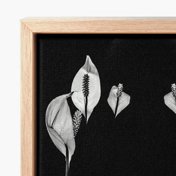 Black-and-white Canvas Print Elegant Peace Lily Flowers Light Koh Chang Rorschach, Lilies Metamorphose, Monochromatic Phantasmagoria