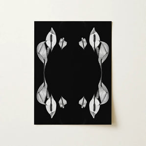 Pearly Whites - Koh Chang Peace Lilies Art Print / Canvas, Koh Chang Rorschach, Peace Lilies Metamorphose, Monochromatic Phantasmagoria