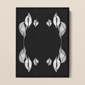 Pearly Whites - Koh Chang Peace Lily Framed Canvas, Black White Photograph Symmetrically Arranged Calla Lily Flowers