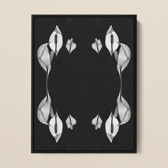 Pearly Whites - Koh Chang Peace Lily Framed Canvas, Black White Photograph Symmetrically Arranged Calla Lily Flowers