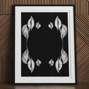 Pearly Whites - Koh Chang Rorschach Lilies Art Print, Black White Framed Art Print Symmetrical Peace Lily