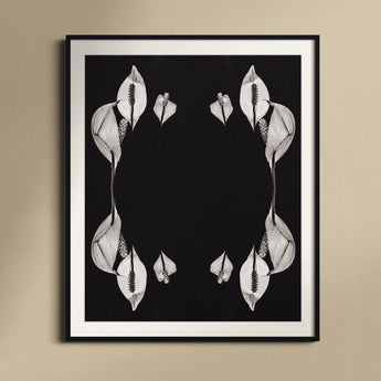 Pearly Whites - Koh Chang Rorschach Lilies Art Print, Black White Photograph Peace Lilies Arranged Symmetrical Mirror