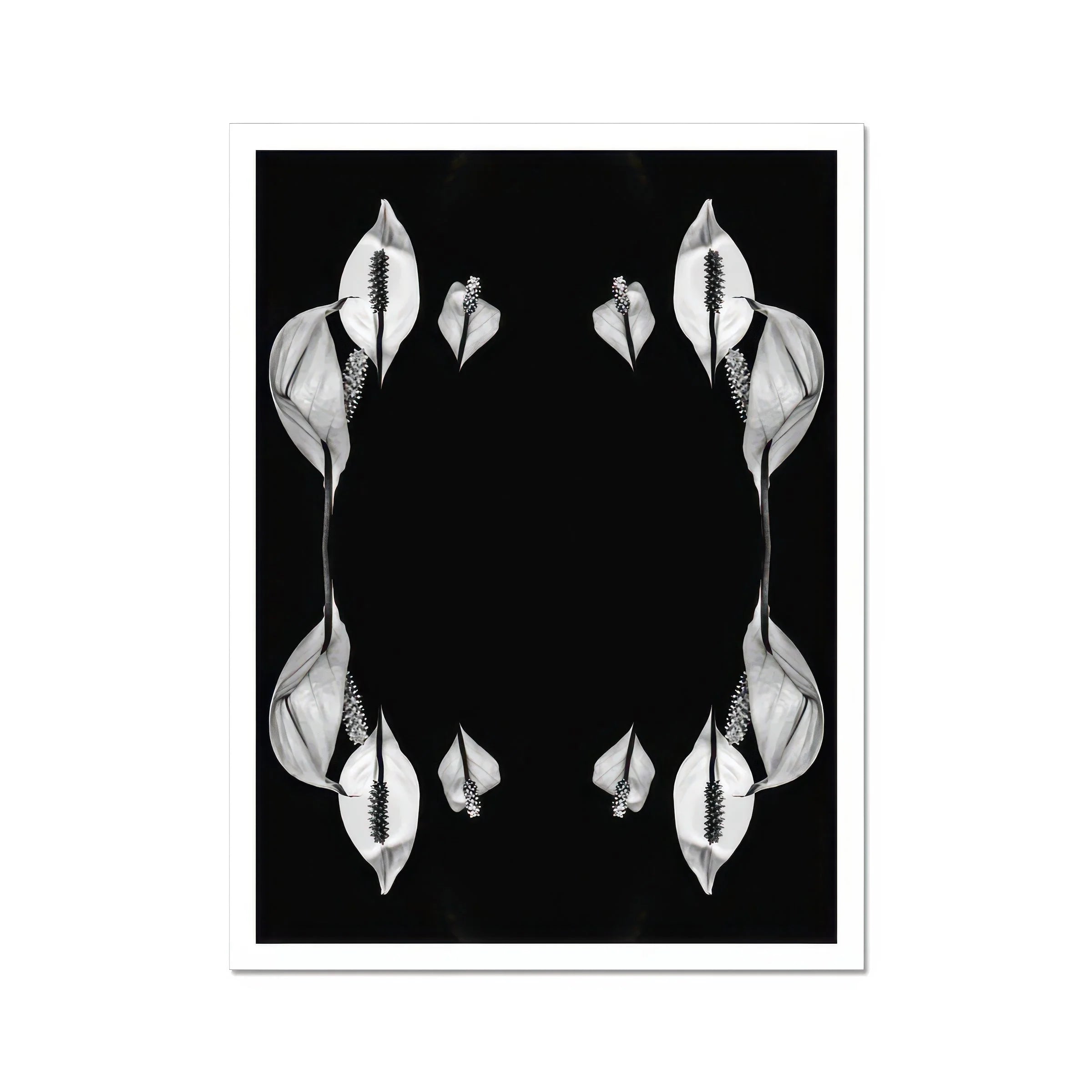 Pearly Whites - Koh Chang Rorschach Lilies Art Print