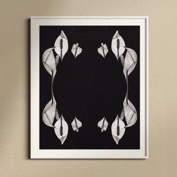 Pearly Whites - Koh Chang Rorschach Lilies Art Print, Peace Lily Flowers Arranged Symmetrical Mirror Pattern Black
