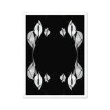 Pearly Whites - Koh Chang Rorschach Lilies Art Print, Peace Lily Flowers Arranged Symmetrical Mirrored Pattern