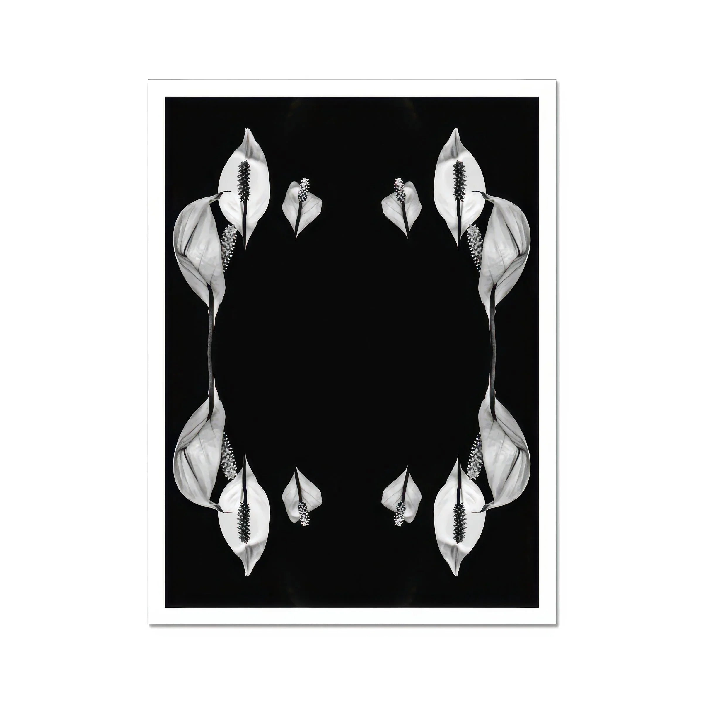 Pearly Whites Koh Chang Rorschach Lilies Art Print, Peace Lily Flowers Arranged Symmetrical Mirrored Pattern
