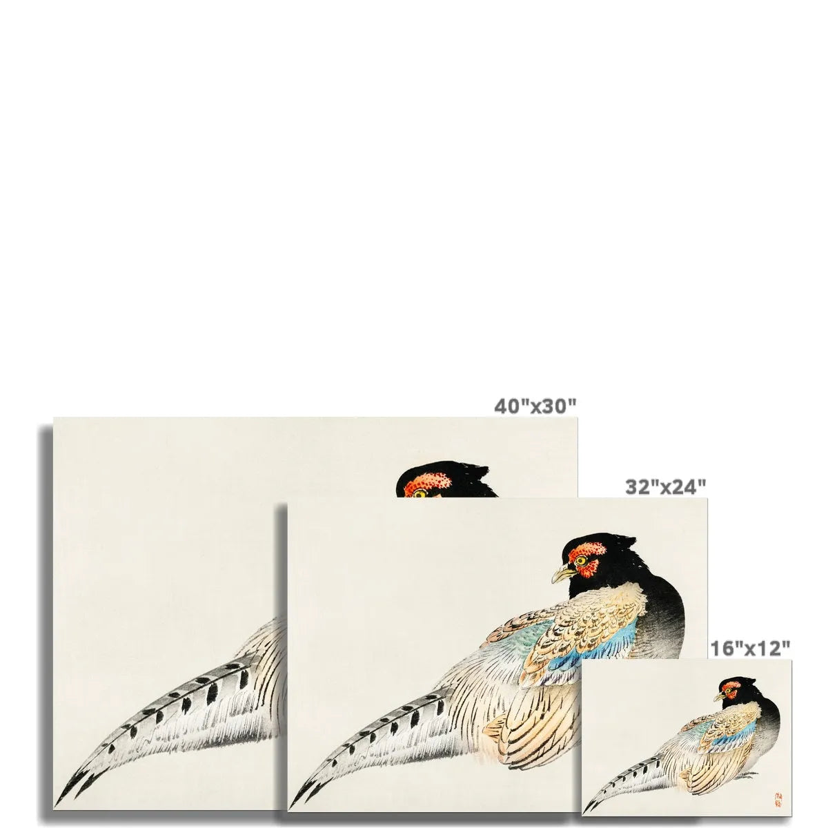 Peregrine Falcon By Kōno Bairei Fine Art Print - Posters Prints & Visual Artwork - Aesthetic Art