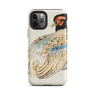 Peregrine Falcon Kōno Bairei Kacho e Iphone Case, 11 Pro / Matte, Bird Themed Iphone Case