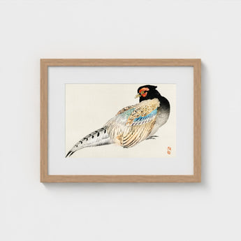 Peregrine Falcon - Kono Bairei Meiji Era Bird Art Print / Canvas Kōno Bairei’s, Gakan, Meiji-era Japan Prints