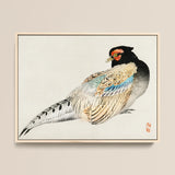 Peregrine Falcon - Kōno Bairei Meiji Era Bird Art Print / Canvas, 16x12’’ / 41x31cm / Natural Frame, Posters Prints & Visual Artwork, Toby