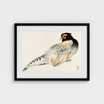 Peregrine Falcon - Kono Bairei Meiji Era Bird Art Print / Canvas Kōno Bairei’s, Gakan, Meiji-era Japan Prints