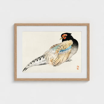 Peregrine Falcon - Kono Bairei Meiji Era Bird Art Print / Canvas Kōno Bairei’s, Gakan, Meiji-era Japan Prints