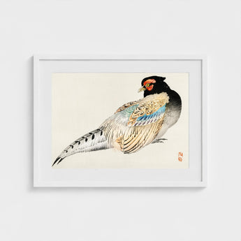 Peregrine Falcon - Kono Bairei Meiji Era Bird Art Print / Canvas Kōno Bairei’s, Gakan, Meiji-era Japan Prints