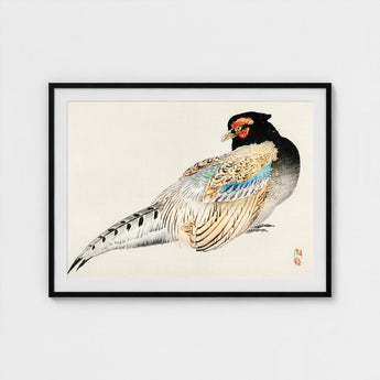 Peregrine Falcon - Kono Bairei Meiji Era Bird Art Print / Canvas Kōno Bairei’s, Gakan, Meiji-era Japan Prints