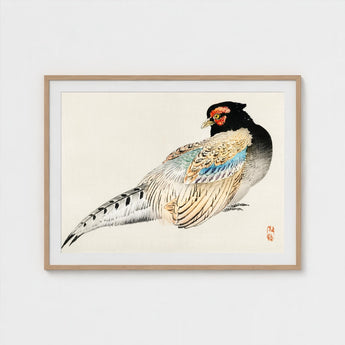 Peregrine Falcon - Kono Bairei Meiji Era Bird Art Print / Canvas Kōno Bairei’s, Gakan, Meiji-era Japan Prints